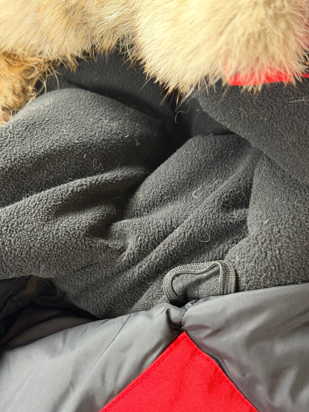 Canada Goose Victoria Parka 3037/LA (Fur) (Women’s L) (Pre-Owned Very Good)